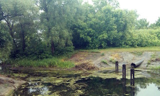 Экологические услуги от ПромМир-Трц в Троицке - стоимость от 12373 руб.