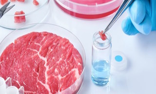 Лабораторный анализ пищевых продуктов по СанПиН в Троицке в октябре